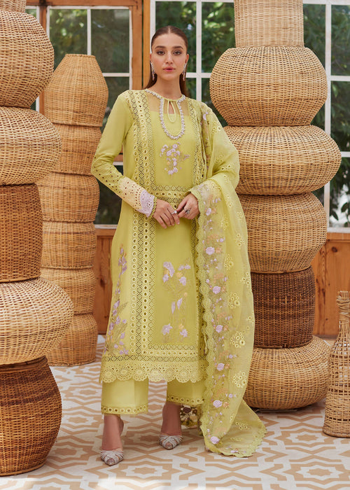 Saira Shakira | Saira Shakira Eid Pret | Dove Hush