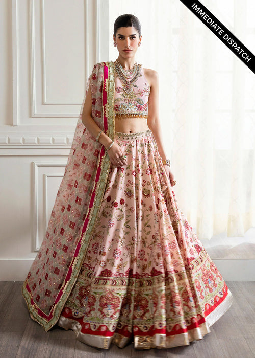Crimson X Saira Shakira Embroidered Tulle Suits Unstitched 3 Piece CR24SW A Swarovski Affair - Wedding Collection