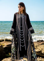 Marori Dreams - D4 B