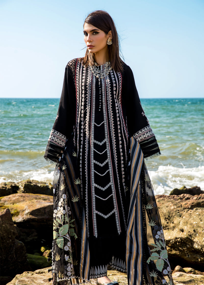 Marori Dreams - D4 B